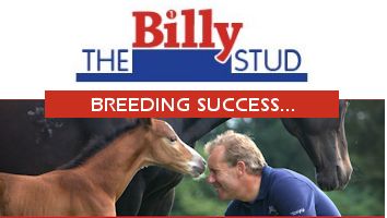 Horses for sale from the Billy Stud<span class="sr-only">; opens in a new window </span>