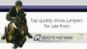 Q SPORT HORSES - SJ<span class="sr-only">; opens in a new window </span>